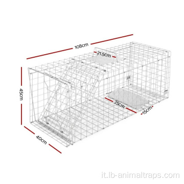 Volpa per cani selvatici di ratto animale di animale vivo